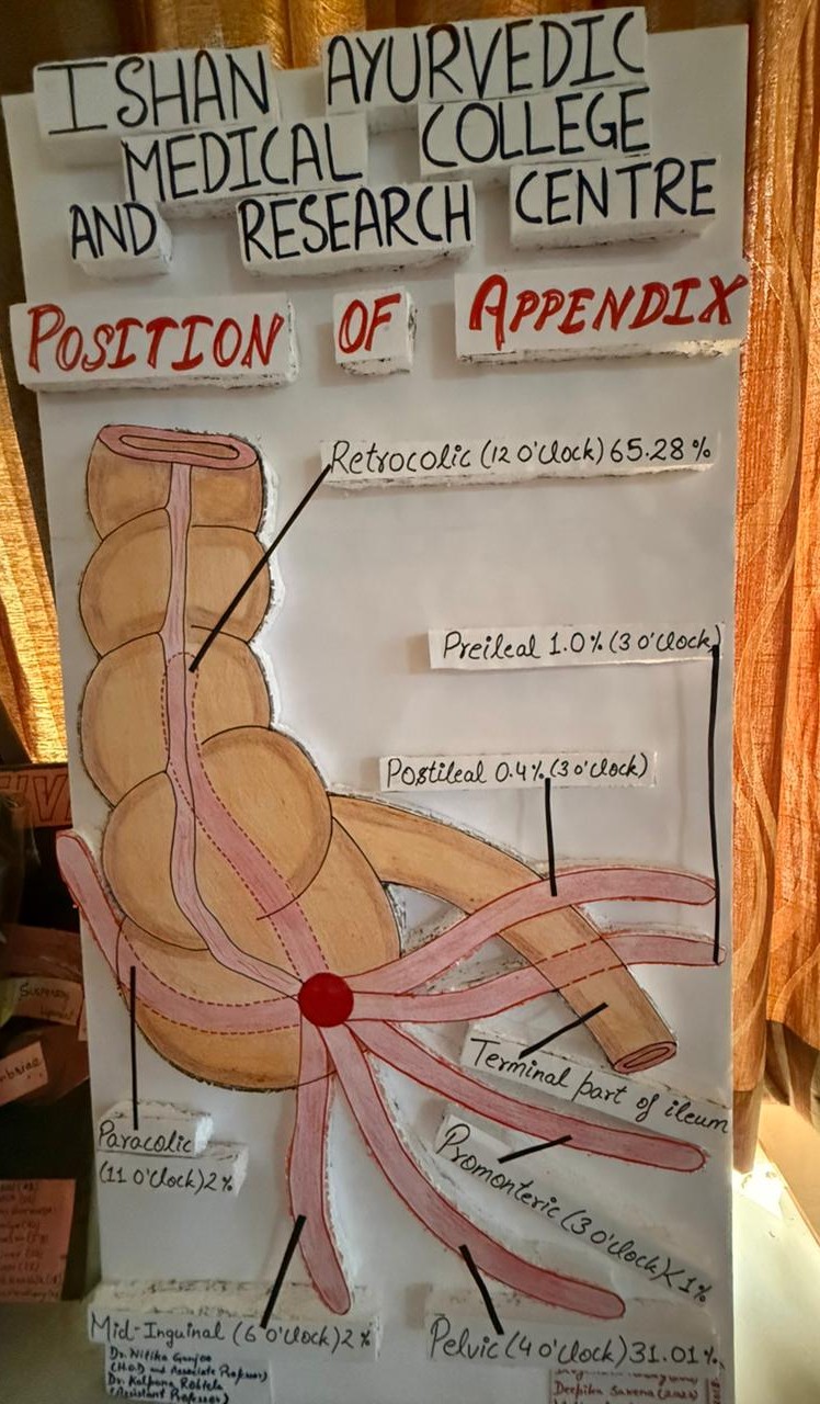Department of Shalya Tantra - Lab 1
